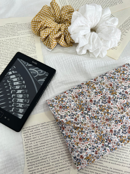 EBook case