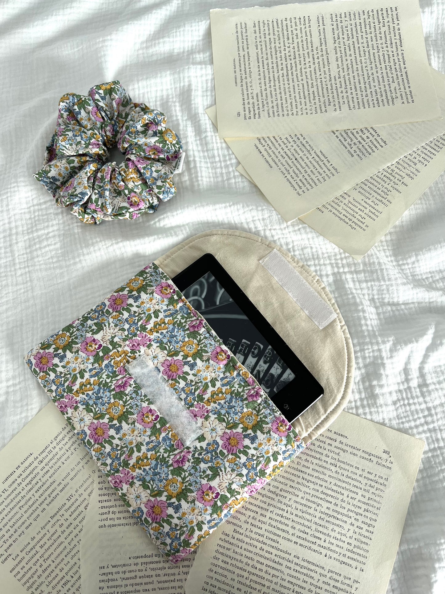EBook case