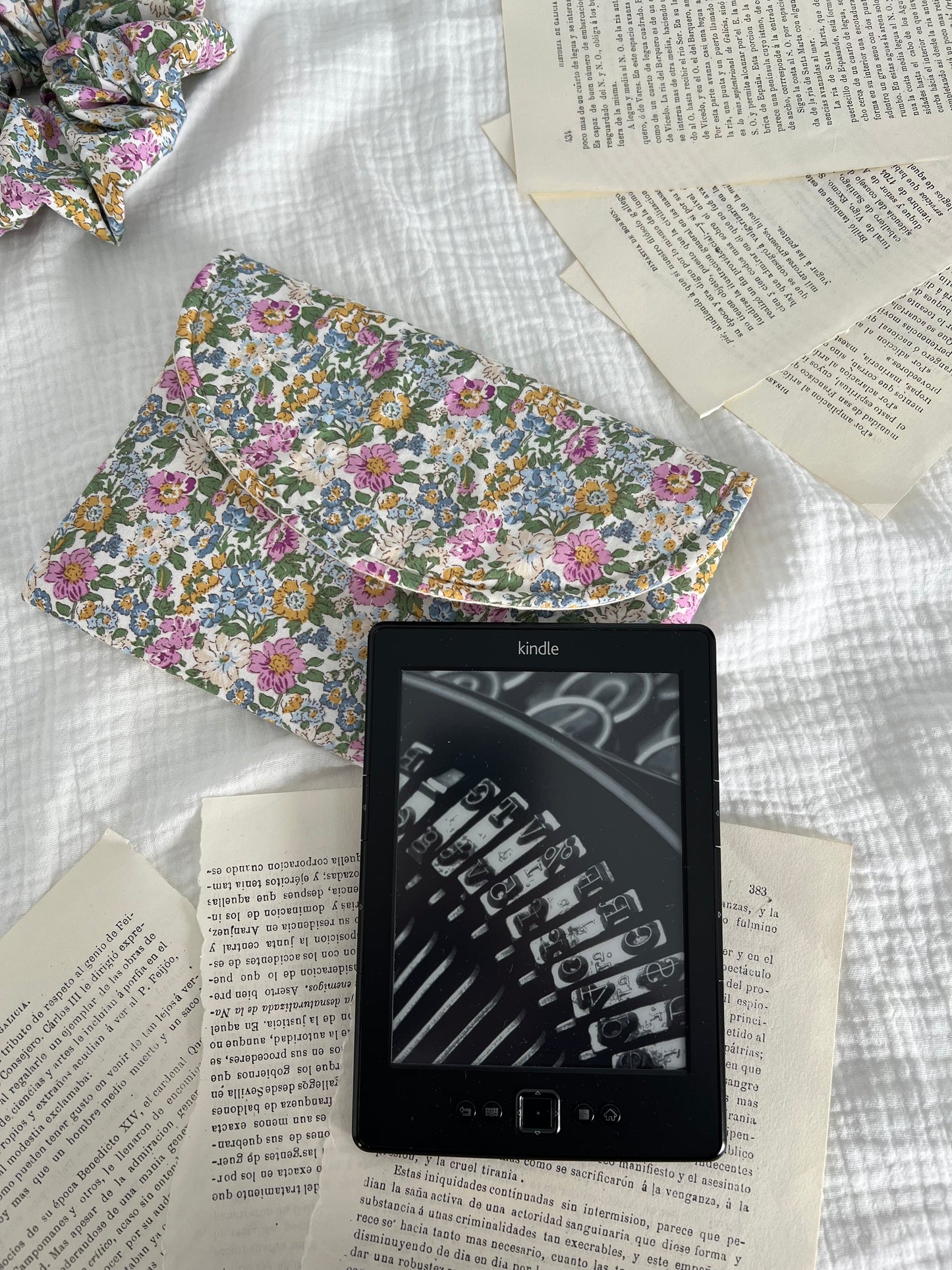 EBook case